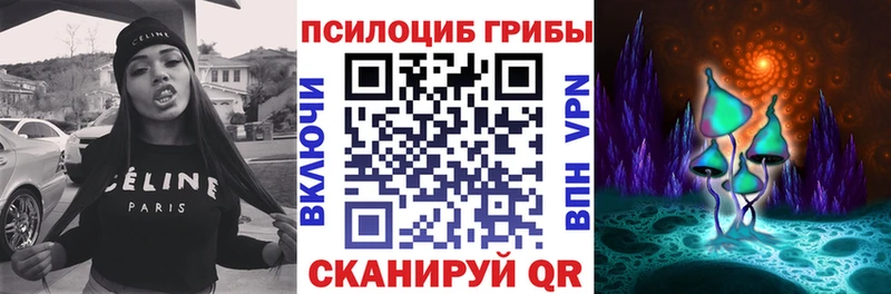 Купить закладки  Плёс  Псилоцибиновые грибы ЛСД 